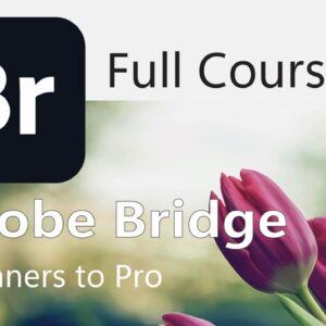 Adobe Bridge-Full Course-Vikrant Academy