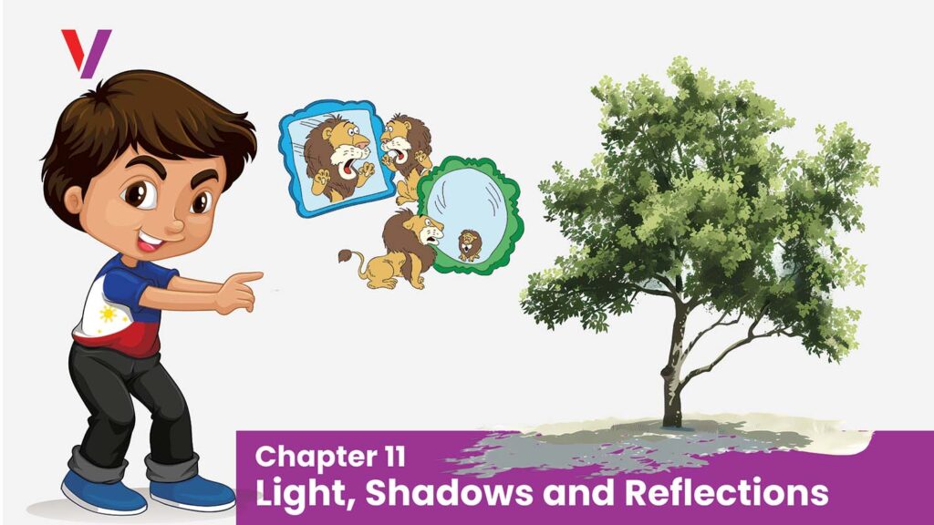 Chapter 11 Light, Shadows and Reflections-Vikrant Academy