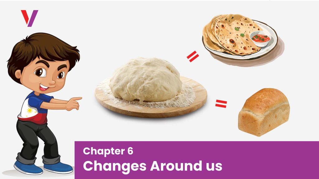 Chapter 6 Changes Around us-vikrant academy