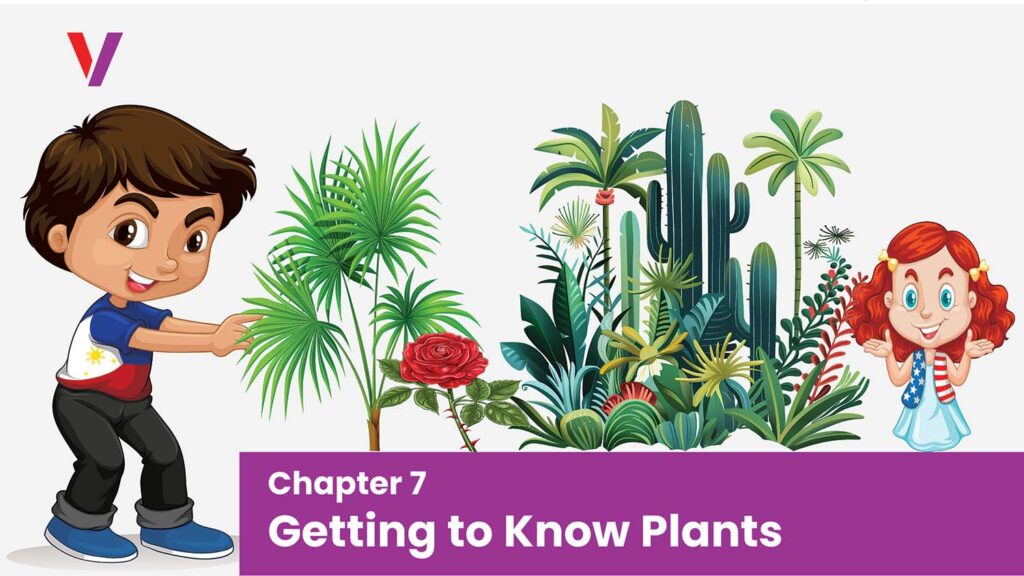Chapter 7 Getting to Know Plants-vikrant academy