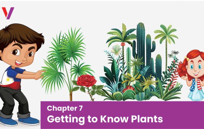 Chapter 7 Getting to Know Plants-vikrant academy