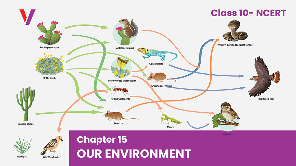 Chapter 15 Our Environment - Class 10 NCERT-Vikrant Academy